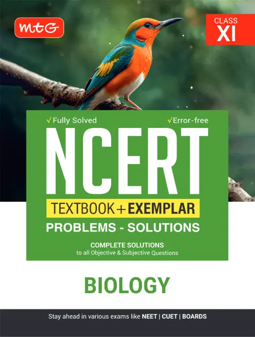 Book View 1